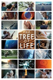 Poster for the movie "The Tree of Life 2011"