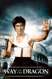 Poster for the movie "Way of the Dragon 1972"