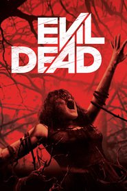 Poster for the movie "Evil Dead 2013"