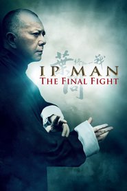 Poster for the movie "Ip Man: The Final Fight 2013"