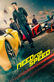 Poster for the movie "Need for Speed 2014"