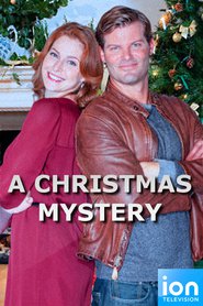 Poster for the movie "A Christmas Mystery 2014"
