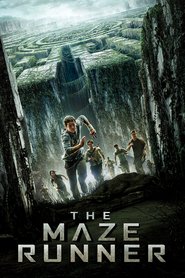 Poster for the movie "The Maze Runner 2014"