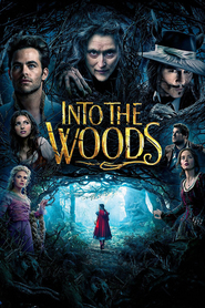 Poster for the movie "Into the Woods 2014"