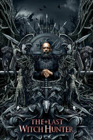 Poster for the movie "The Last Witch Hunter 2015"